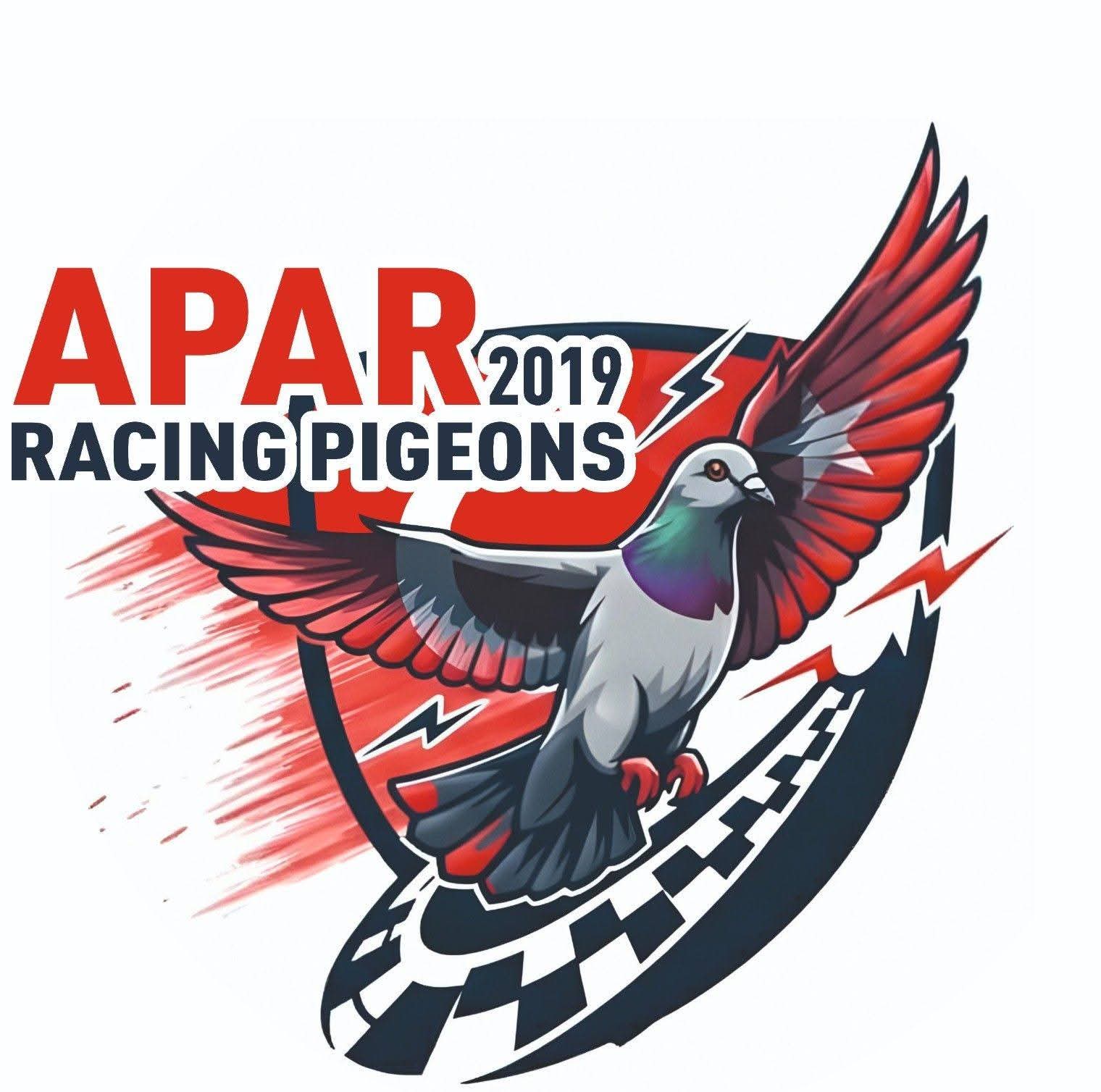 APAR RACİNG PİGEONS